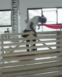 skatesauce  GIF