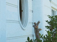 Whats Up Boo GIF by The Late Late Show with James Corden