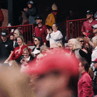 South Carolina Celebration GIF by gamecocksonline