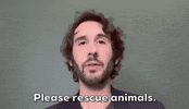 Josh Groban Animal Adoption GIF by GIPHY News