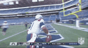 Regular Season Running GIF by NFL