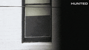 Huntedau GIF by Hunted Australia
