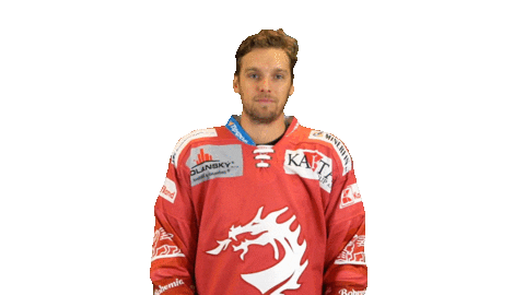 Dragon Striker Sticker by HC Oceláři Třinec