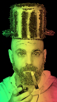 Pot Head GIF by HIGH BAR