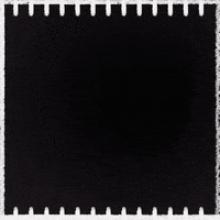 Corona Prison GIF by INTO ACTION