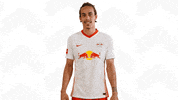 Oh Yeah Yes GIF by RB Leipzig
