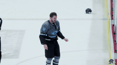 High Five Celebration GIF by Quad City Storm