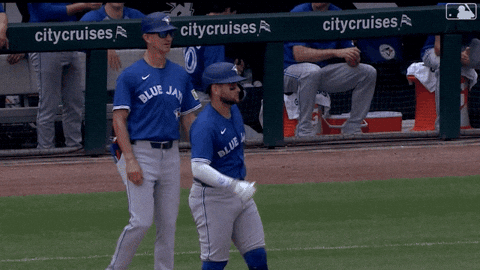 Blue Jays Baseball GIF by Toronto Blue Jays