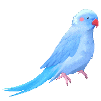 Cat Star Sticker by EchoKids