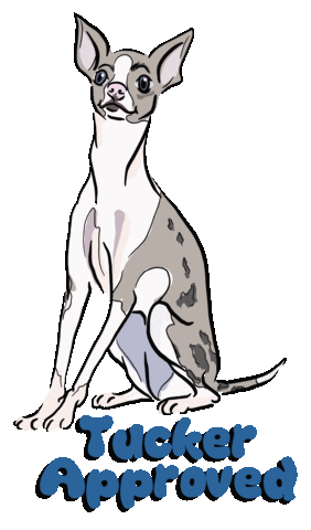 RensPets giphyupload pet approved renspets rens pets Sticker