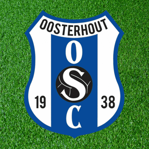 Rens Geusens GIF by vvOSC