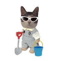 Cool Cat Sticker