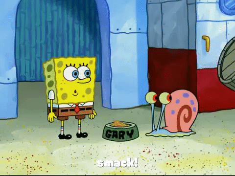 season 7 keep bikini bottom beautiful GIF by SpongeBob SquarePants