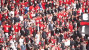Football Fans GIF by Stade Rennais F.C.