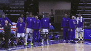 Oh My Wow GIF by Sacramento Kings