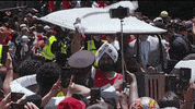 Celebrate Toronto Raptors GIF by NBA