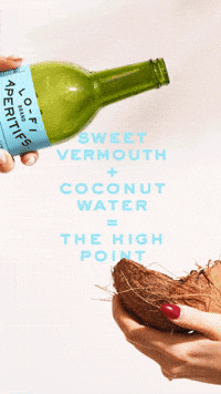 Happy Hour Fall GIF by Lo-Fi Aperitifs