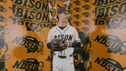 Sam Roberts Baseball GIF by NDSU Athletics