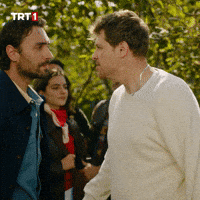 Deniz Baysal Dizi GIF by TRT