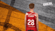 Sport Basketball GIF by Basket_fi