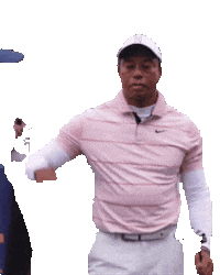 Tiger Woods Sticker by hamlet
