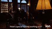 Law And Order Svu GIF by ION