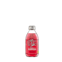 Kombucha Komvida Sticker by Komvidakombucha
