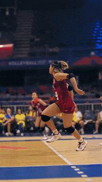 Sport Team GIF by Volleyball World
