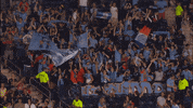 goal celebration GIF by NYCFC