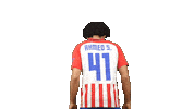 Football Soccer Sticker by Gulf United FC