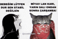 Rap Stabilo GIF