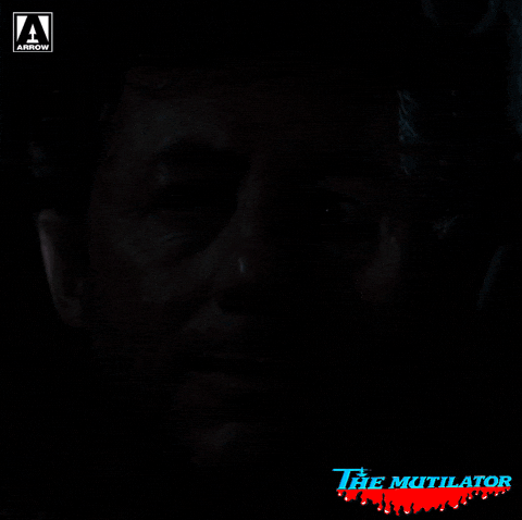 Watching I See You GIF by Arrow Video