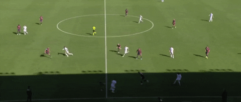 charlesonwuakpa giphyupload parisi GIF