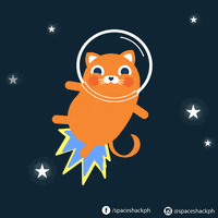 spaceshackph cat psychedelic space hungry GIF