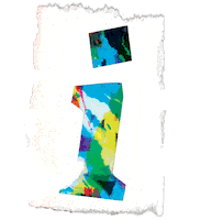 Art Fashion Sticker