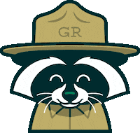 Blink Go Sticker by The Raccoon Club