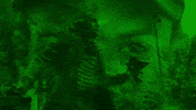 George Mason GIF by MasonHoopsBlog