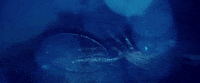 relapse records between waves GIF by The Album Leaf