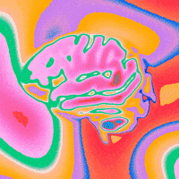 Rainbow Loop GIF by Toke