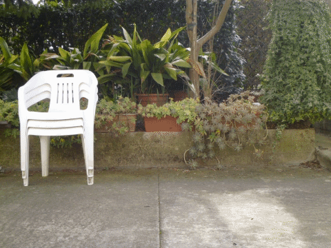 Simongip giphygifmaker GIF