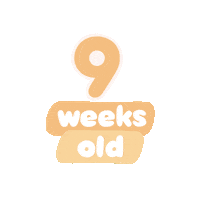 Baby Age Sticker by westeggpress