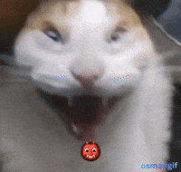 Cat Devil GIF