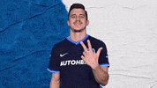 Football Soccer GIF by Hertha BSC
