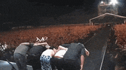 Take A Bow GIF by Foo Fighters