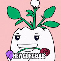 I Love You Romance GIF by Magic Eden