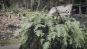 Pacific Northwest Washington GIF by Northwest Motorsport