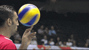 Style Yes GIF by Volleyball World