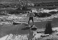 harold lloyd GIF by Maudit