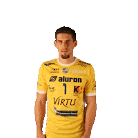 1-3 Virtu Sticker by Aluron CMC Warta Zawiercie