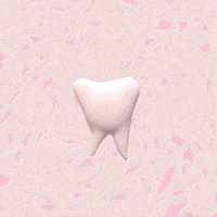 frumpygifs teeth dumb dentist tooth GIF